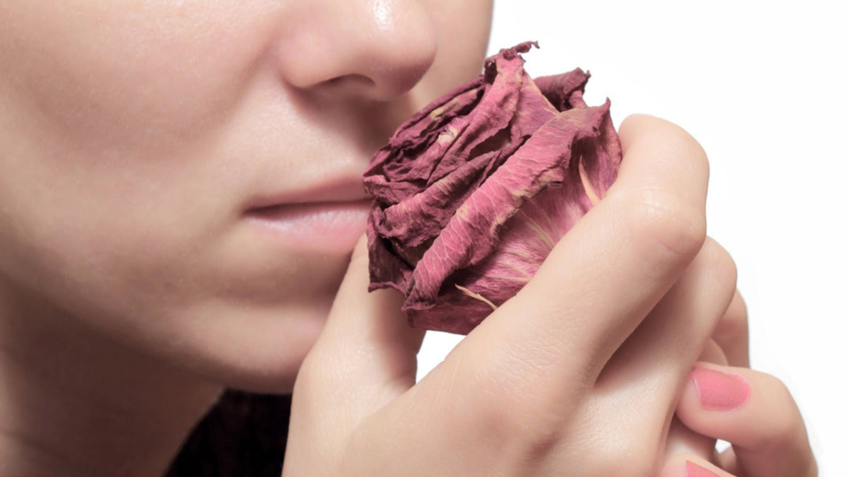 femme entrain de sentir une rose